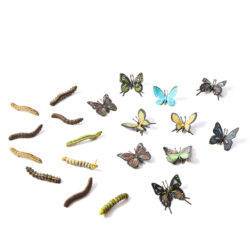 Caterpillars & Butterflies Set