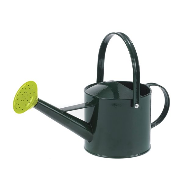 Set of Small Watering Cans