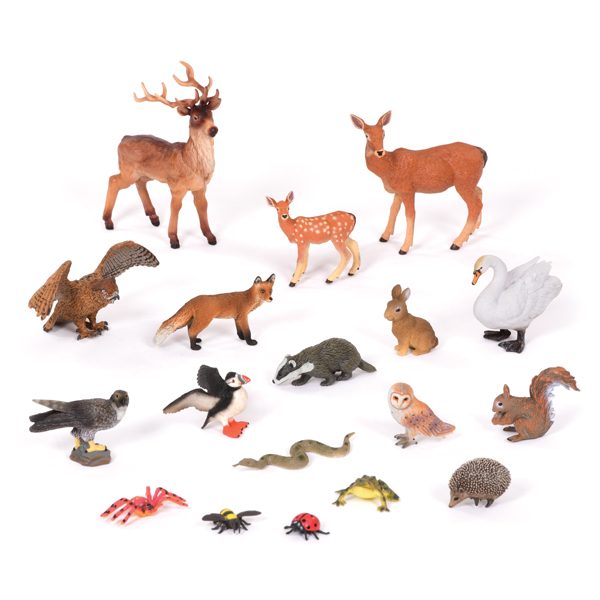 British Wildlife Collection KS1 Early Excellence Science Resources