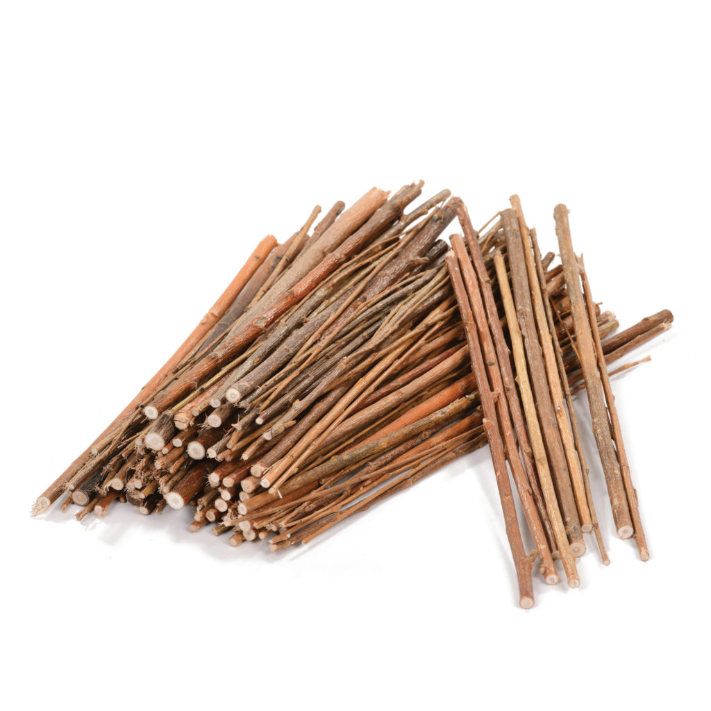 Large Set of Willow Sticks | Early Excellence