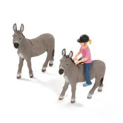 Set of Donkeys with Rider