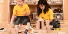 Block Play Alongside Small World Resources