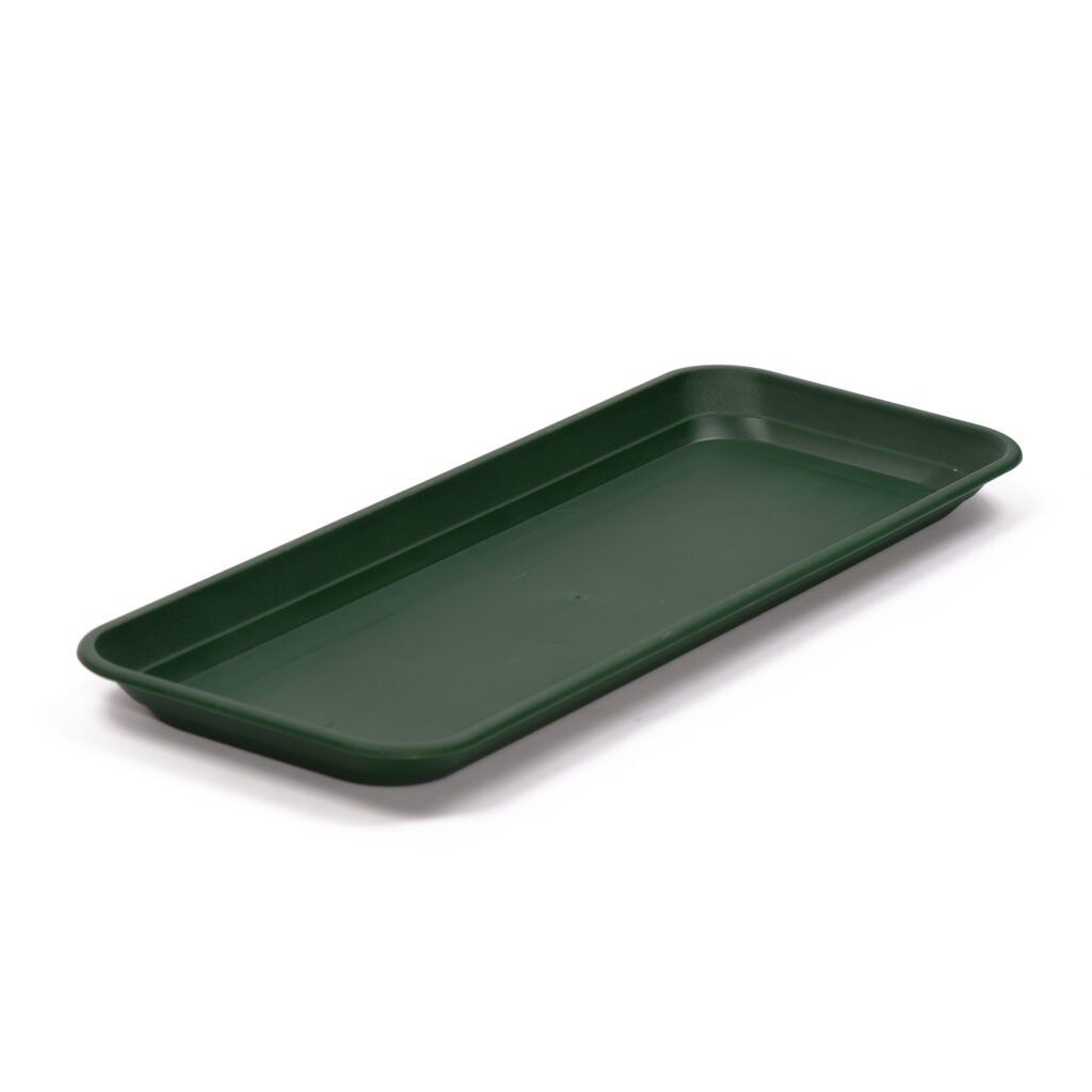 Small Rectangular Plastic Display Tray Early Excellence