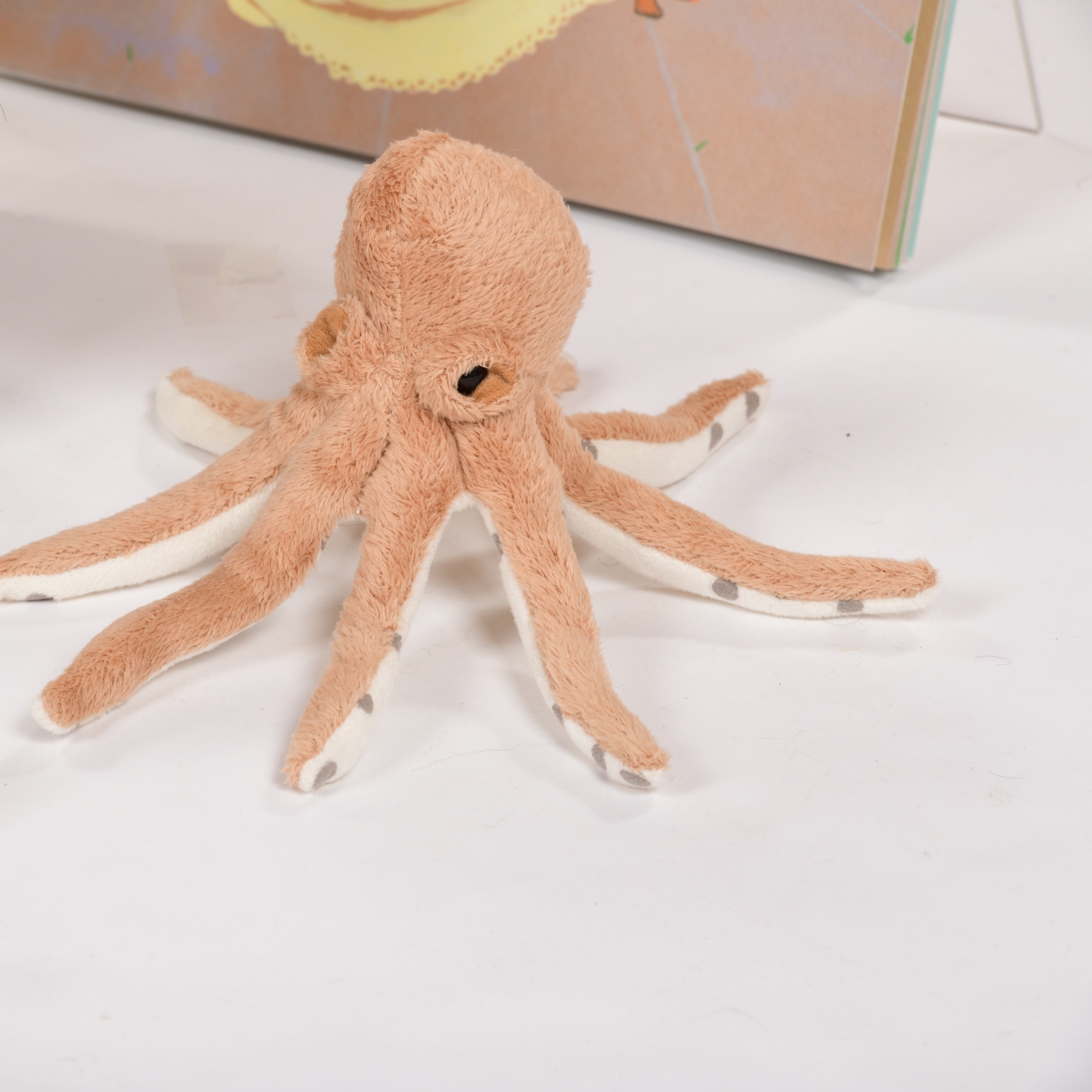 Book & Puppet Resource Collection Early Years KS1 Reading