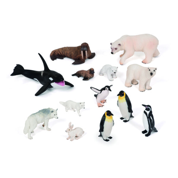 Polar Animals Collection