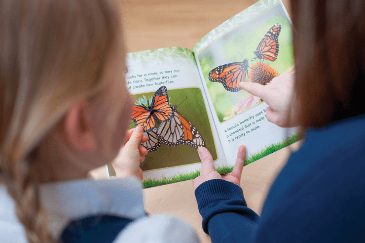 Literacy in Early Years