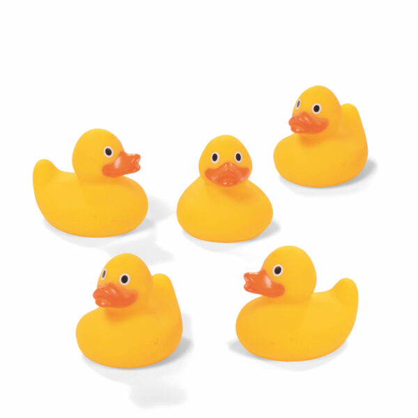 Set of Floating Ducks