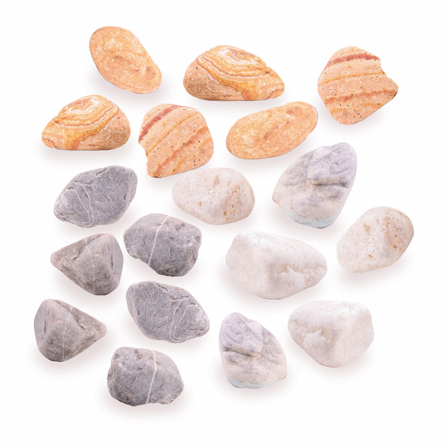 Set of Mixed Rocks Early Excellence