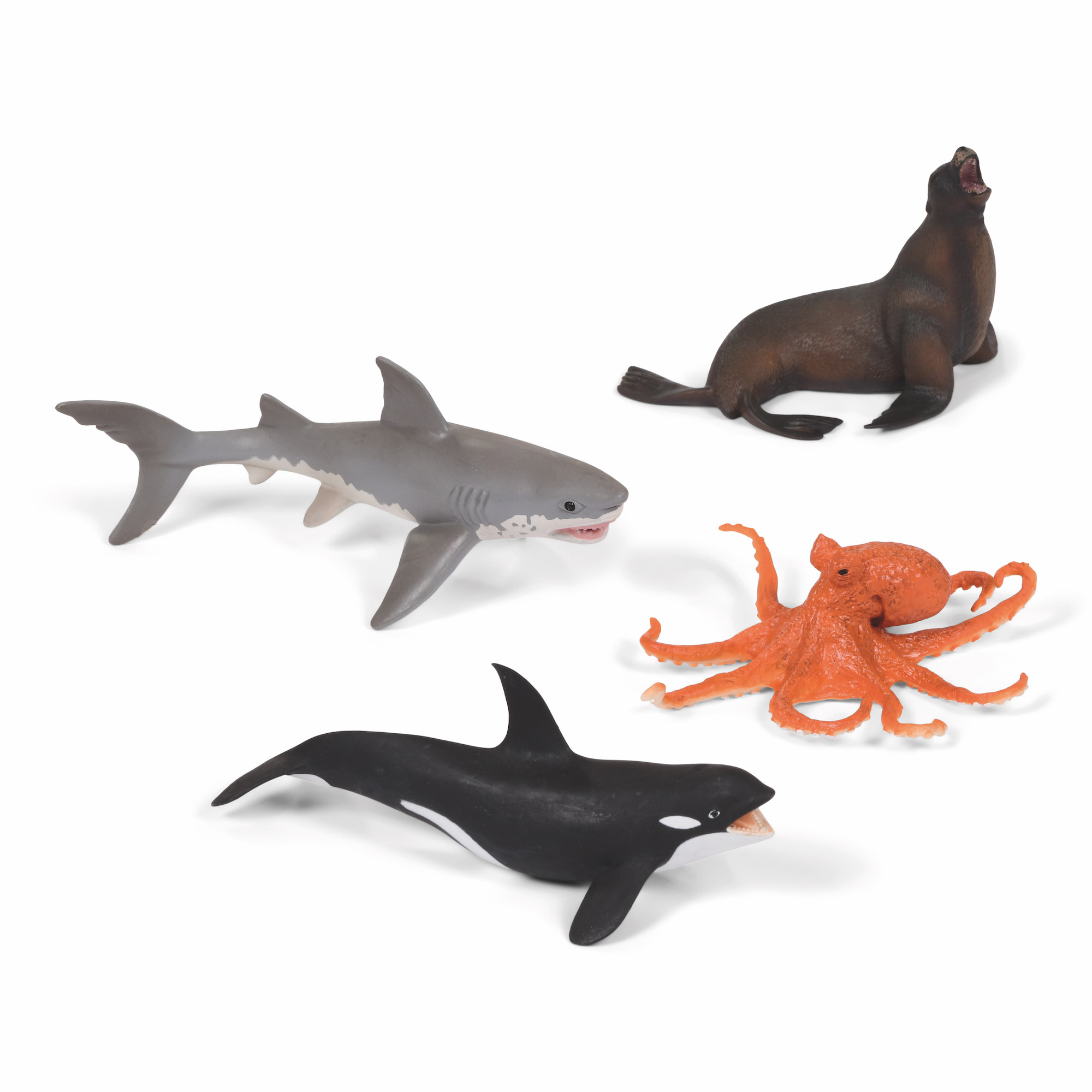 Sea Creatures Starter Set | Early Excellence