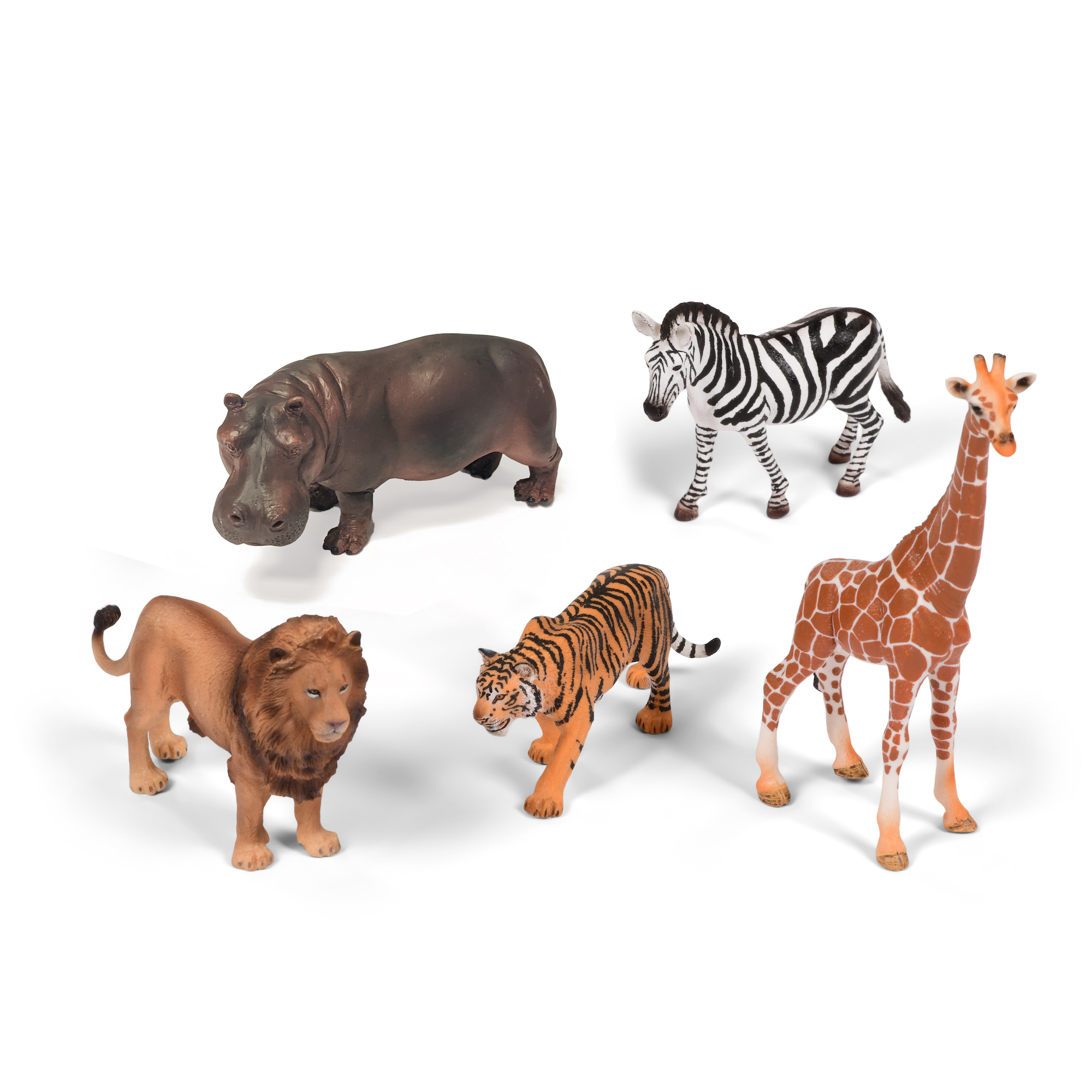 Set of Wild Animals | Early Excellence