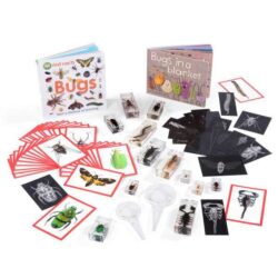 Bugs Resource Collection