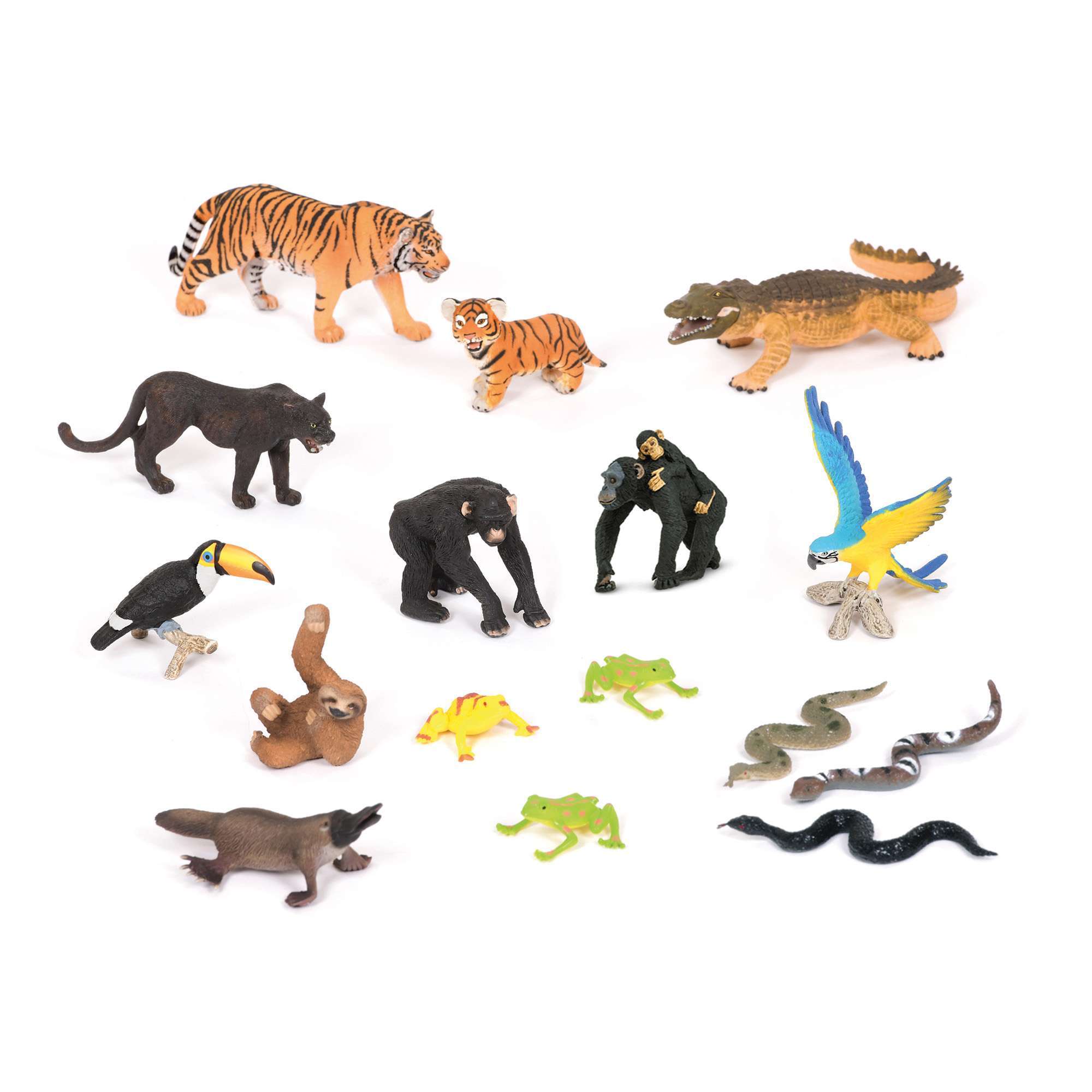 Jungle Animals Collection KS1 Develop Scientific Knowledge