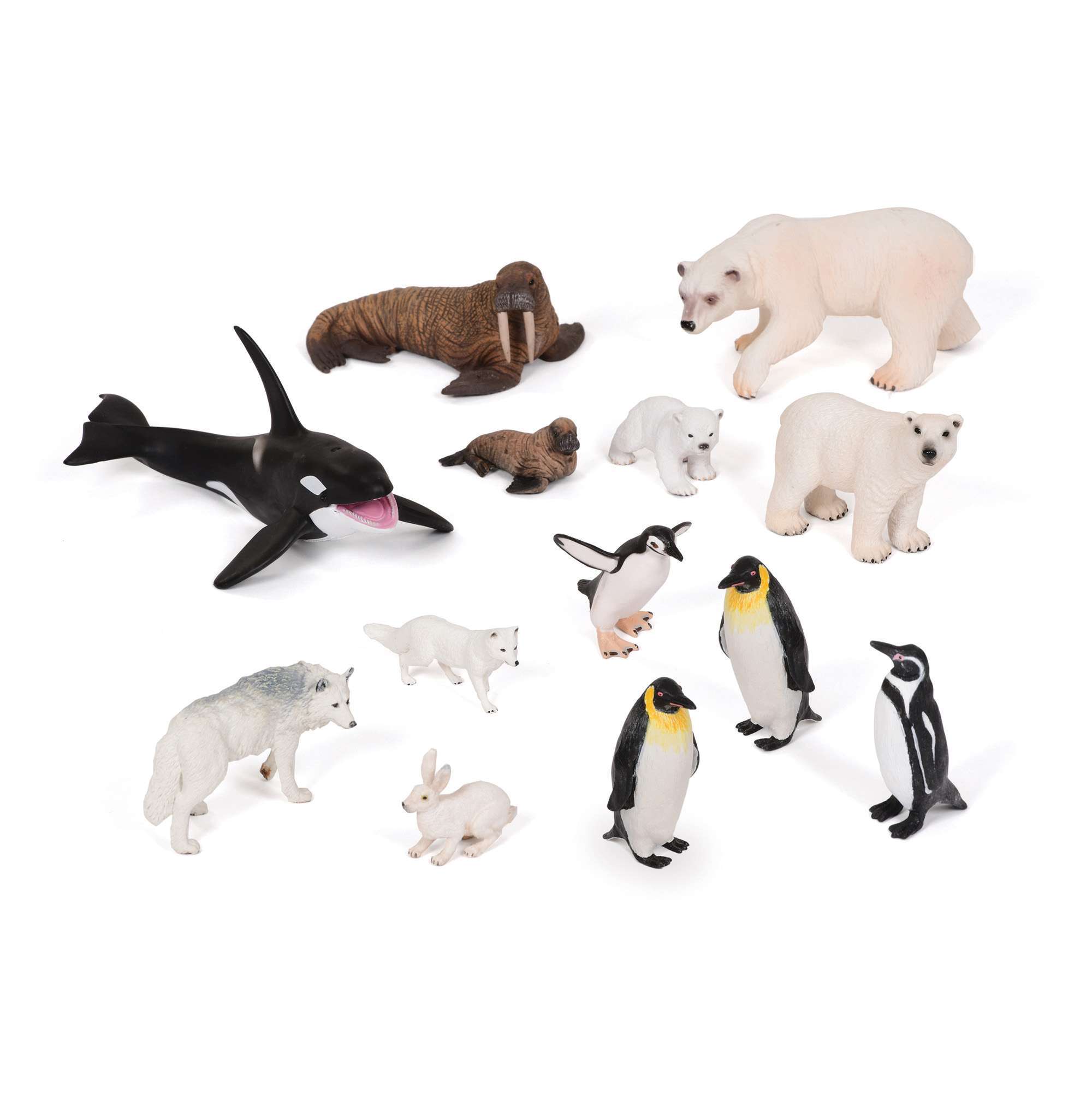 Polar Animals Collection I KS1 Get Set for Scientific Activities