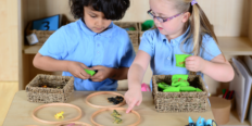 Transition to Year 1 – Getting it Right from the Start
