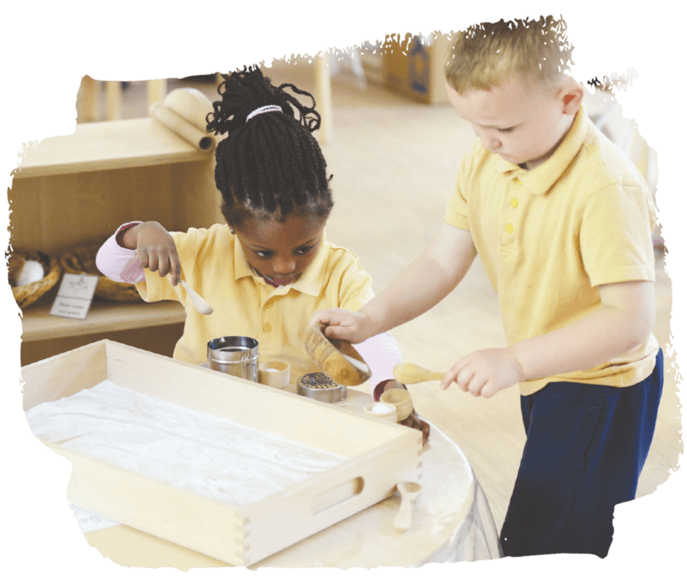 School Improvement Service